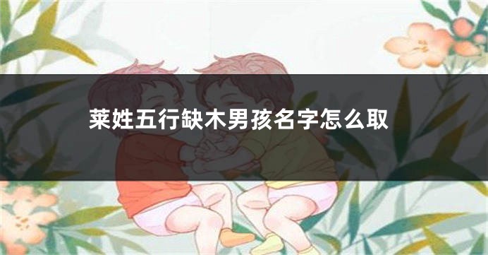 莱姓五行缺木男孩名字怎么取