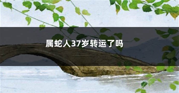 属蛇人37岁转运了吗
