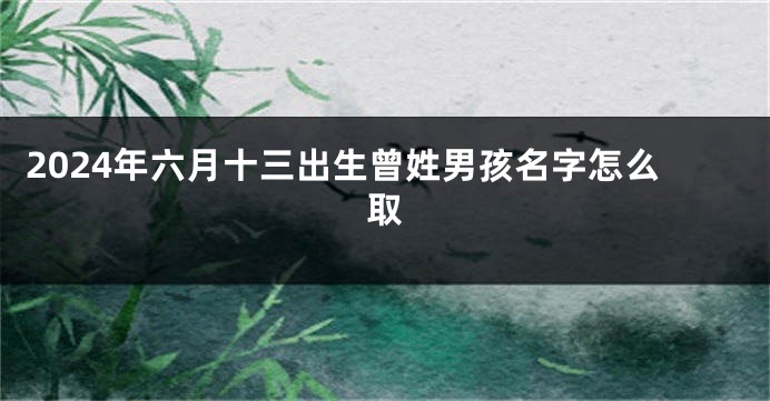 2024年六月十三出生曾姓男孩名字怎么取