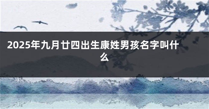 2025年九月廿四出生康姓男孩名字叫什么