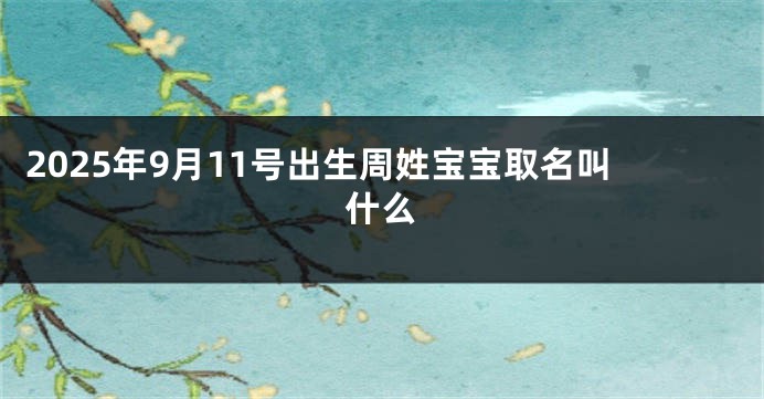 2025年9月11号出生周姓宝宝取名叫什么
