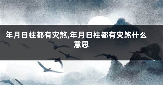 年月日柱都有灾煞,年月日柱都有灾煞什么意思