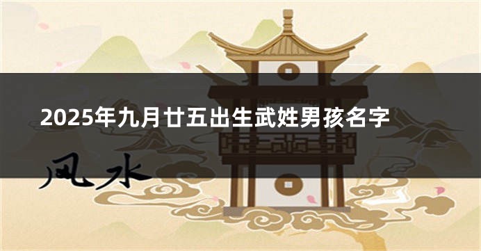2025年九月廿五出生武姓男孩名字