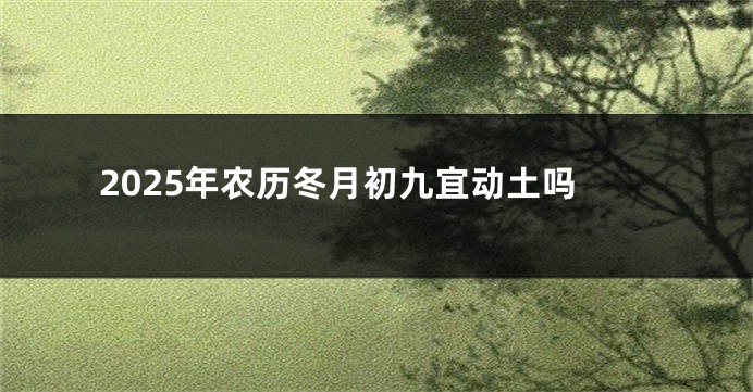 2025年农历冬月初九宜动土吗