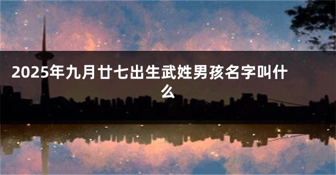 2025年九月廿七出生武姓男孩名字叫什么