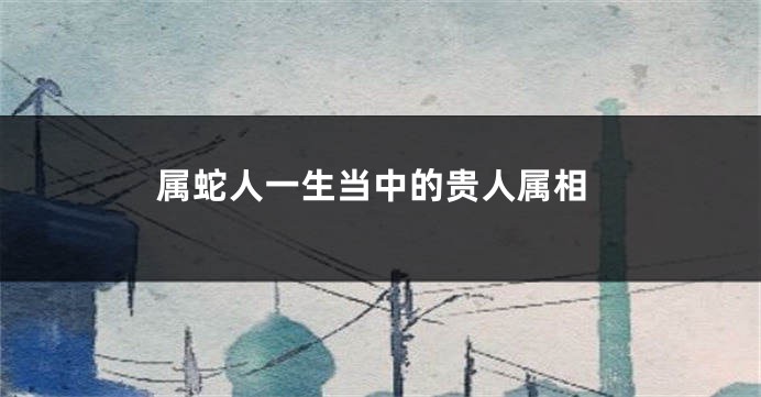 属蛇人一生当中的贵人属相