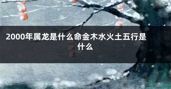 2000年属龙是什么命金木水火土五行是什么