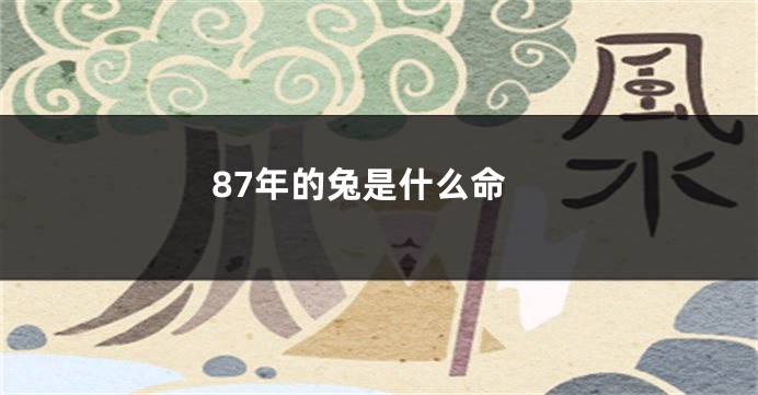 87年的兔是什么命