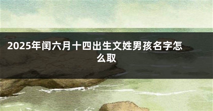 2025年闰六月十四出生文姓男孩名字怎么取