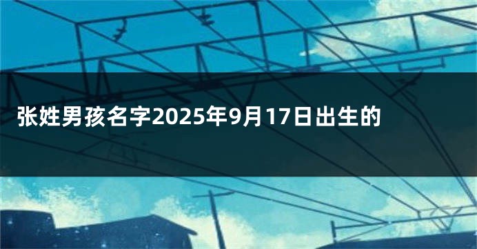 张姓男孩名字2025年9月17日出生的