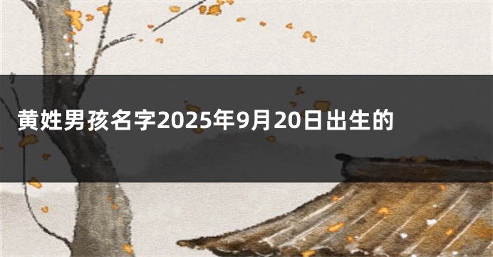 黄姓男孩名字2025年9月20日出生的