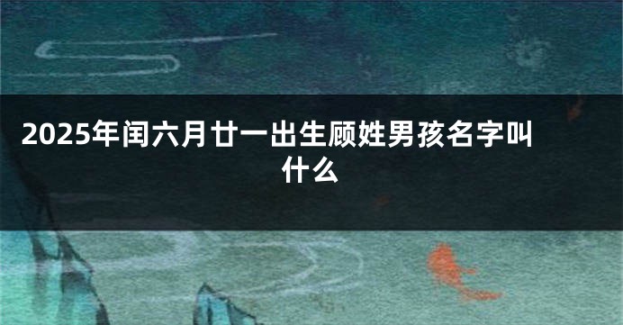 2025年闰六月廿一出生顾姓男孩名字叫什么