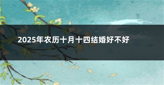 2025年农历十月十四结婚好不好