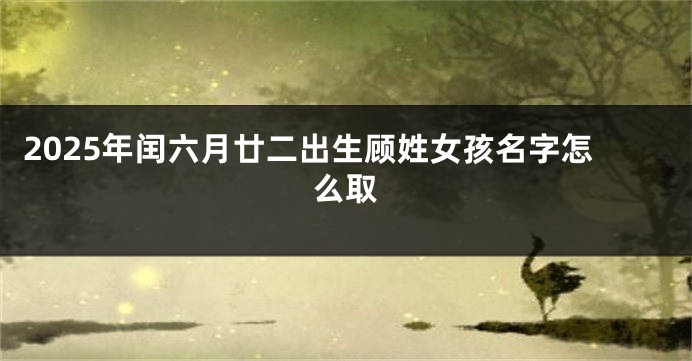 2025年闰六月廿二出生顾姓女孩名字怎么取
