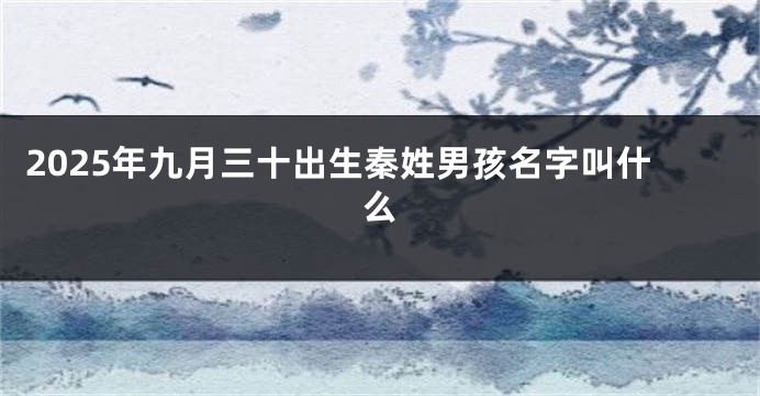 2025年九月三十出生秦姓男孩名字叫什么