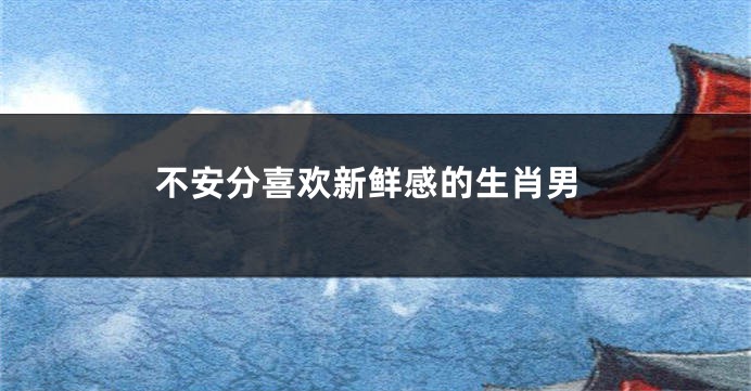 不安分喜欢新鲜感的生肖男
