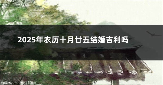 2025年农历十月廿五结婚吉利吗