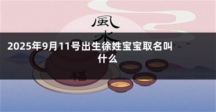 2025年9月11号出生徐姓宝宝取名叫什么