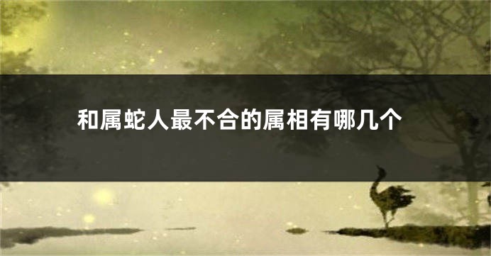 和属蛇人最不合的属相有哪几个