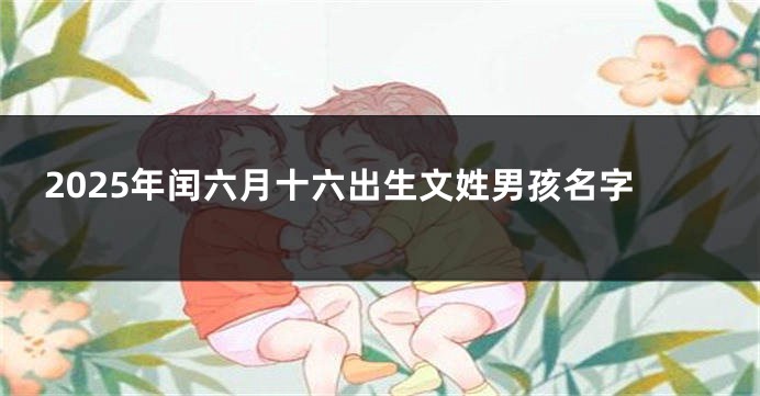 2025年闰六月十六出生文姓男孩名字