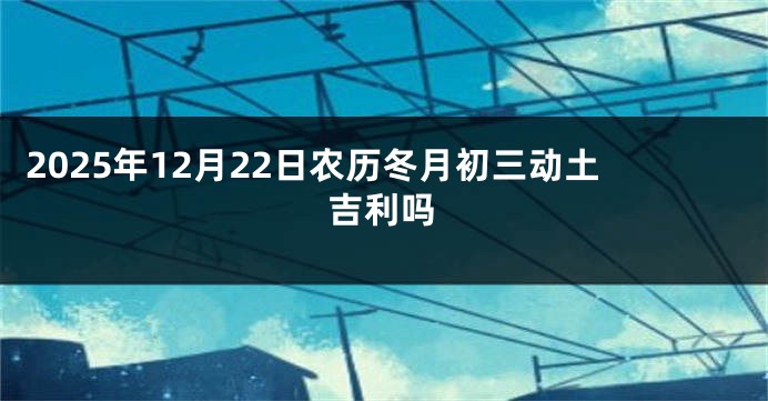 2025年12月22日农历冬月初三动土吉利吗