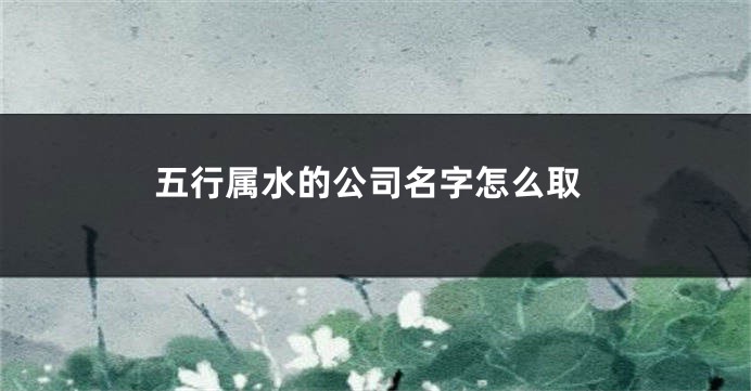 五行属水的公司名字怎么取