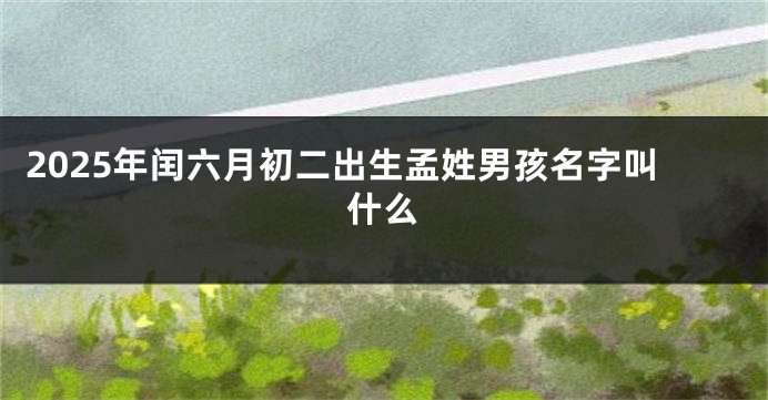 2025年闰六月初二出生孟姓男孩名字叫什么