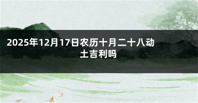 2025年12月17日农历十月二十八动土吉利吗