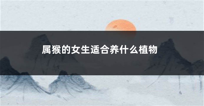 属猴的女生适合养什么植物