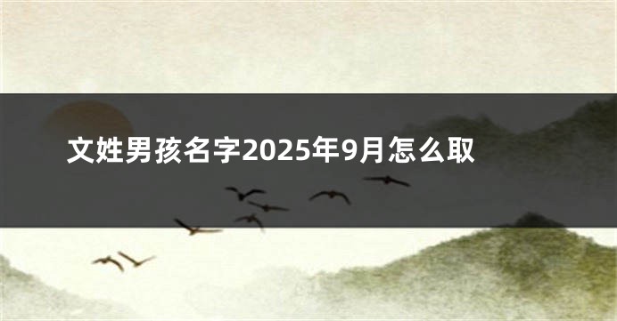 文姓男孩名字2025年9月怎么取