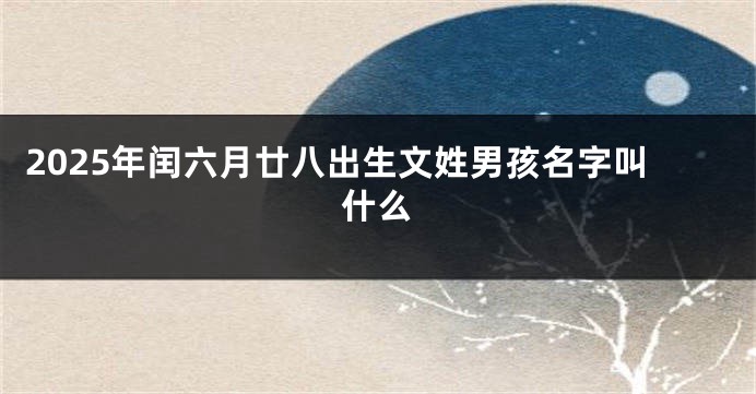 2025年闰六月廿八出生文姓男孩名字叫什么