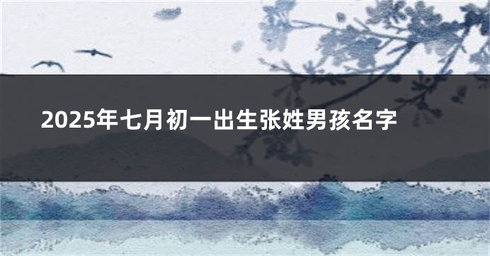 2025年七月初一出生张姓男孩名字