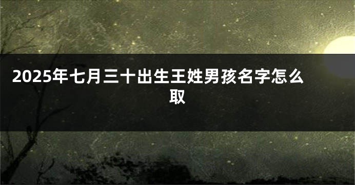 2025年七月三十出生王姓男孩名字怎么取