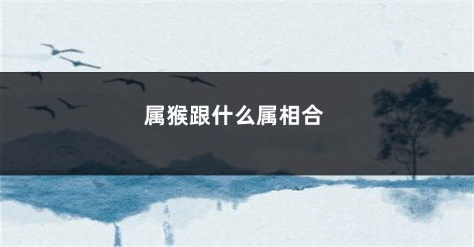 属猴跟什么属相合