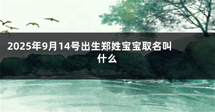 2025年9月14号出生郑姓宝宝取名叫什么