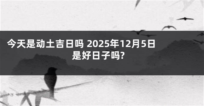 今天是动土吉日吗 2025年12月5日是好日子吗?
