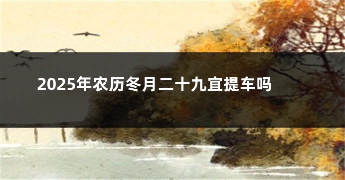 2025年农历冬月二十九宜提车吗
