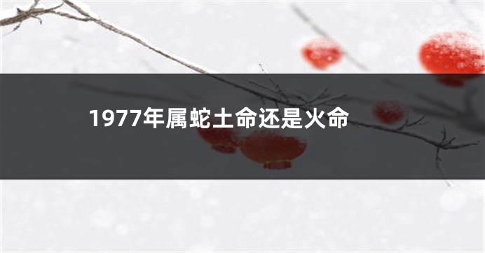 1977年属蛇土命还是火命