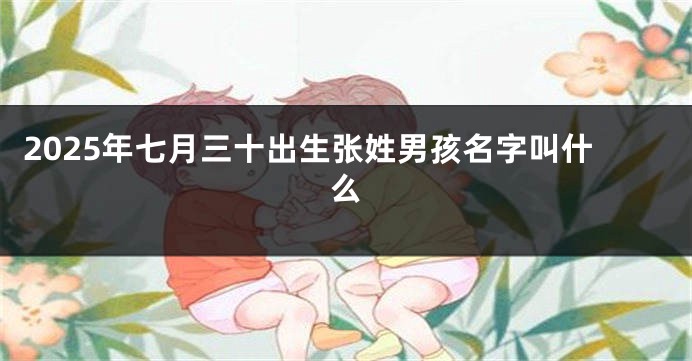 2025年七月三十出生张姓男孩名字叫什么