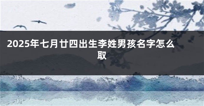 2025年七月廿四出生李姓男孩名字怎么取