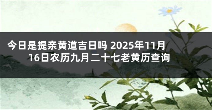 今日是提亲黄道吉日吗 2025年11月16日农历九月二十七老黄历查询