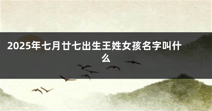 2025年七月廿七出生王姓女孩名字叫什么