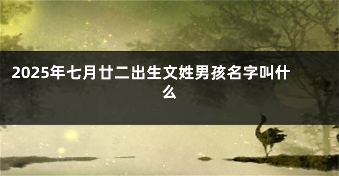 2025年七月廿二出生文姓男孩名字叫什么