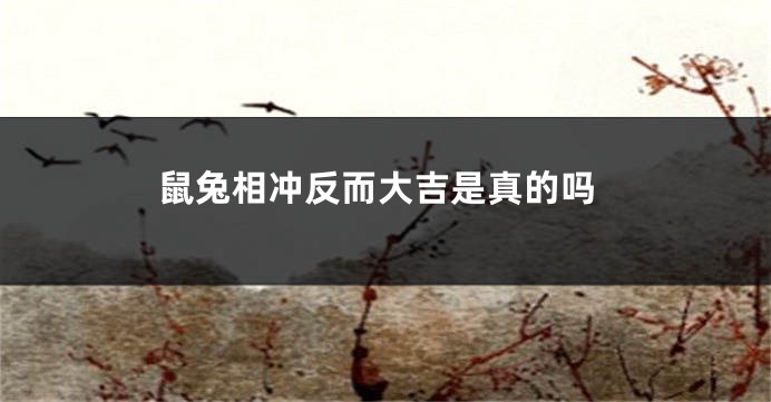 鼠兔相冲反而大吉是真的吗