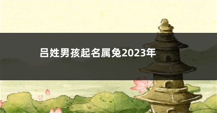 吕姓男孩起名属兔2023年