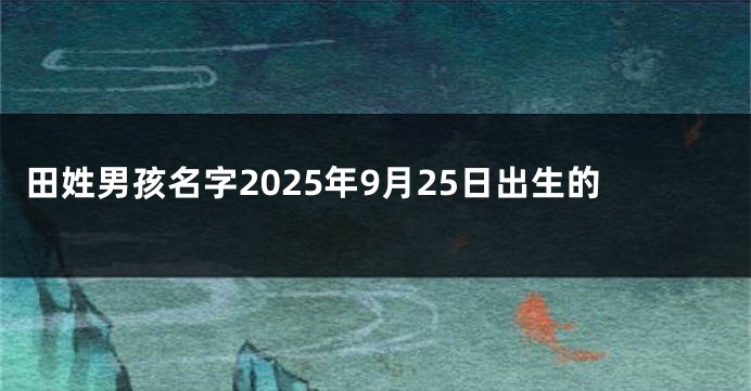 田姓男孩名字2025年9月25日出生的