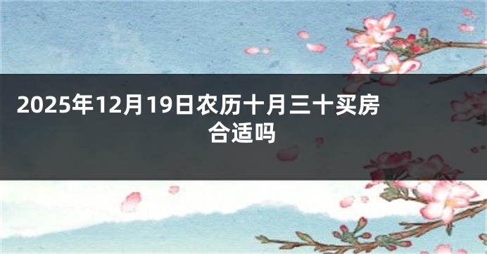 2025年12月19日农历十月三十买房合适吗