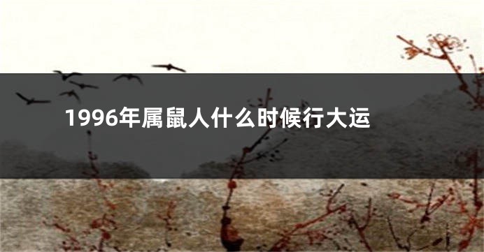 1996年属鼠人什么时候行大运