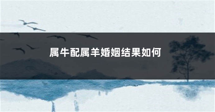 属牛配属羊婚姻结果如何