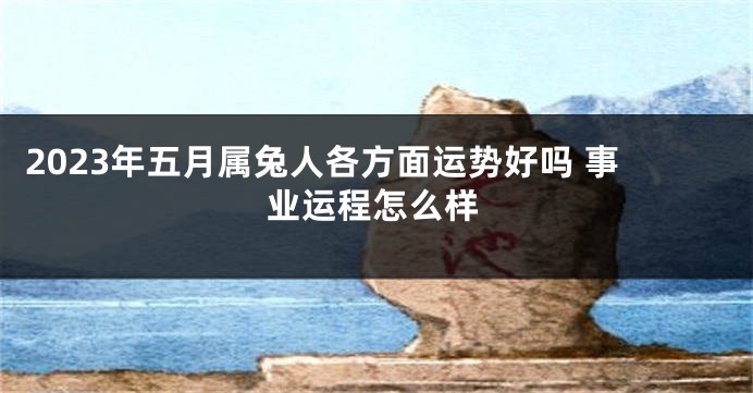 2023年五月属兔人各方面运势好吗 事业运程怎么样